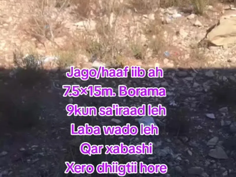 Land in Qarxabashi, Borama — $9,000