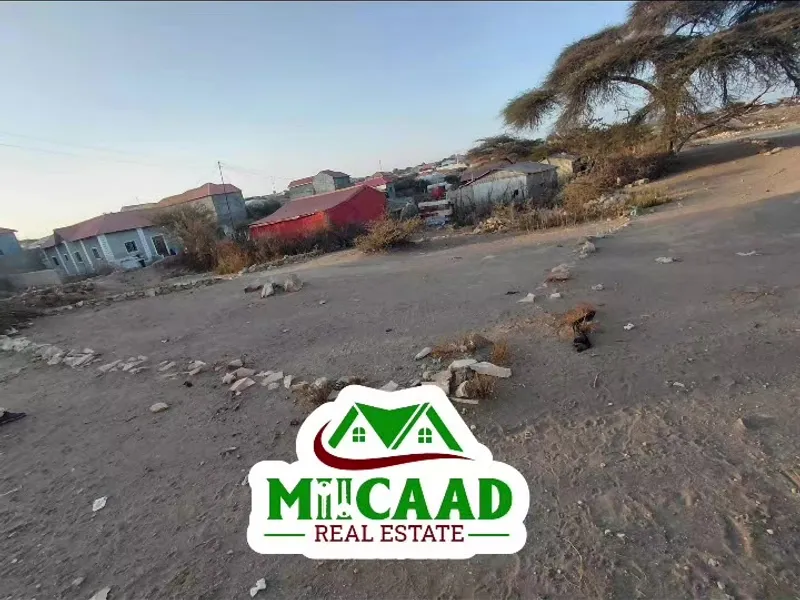 Land in Xaaji Manate, Borama — $9,000