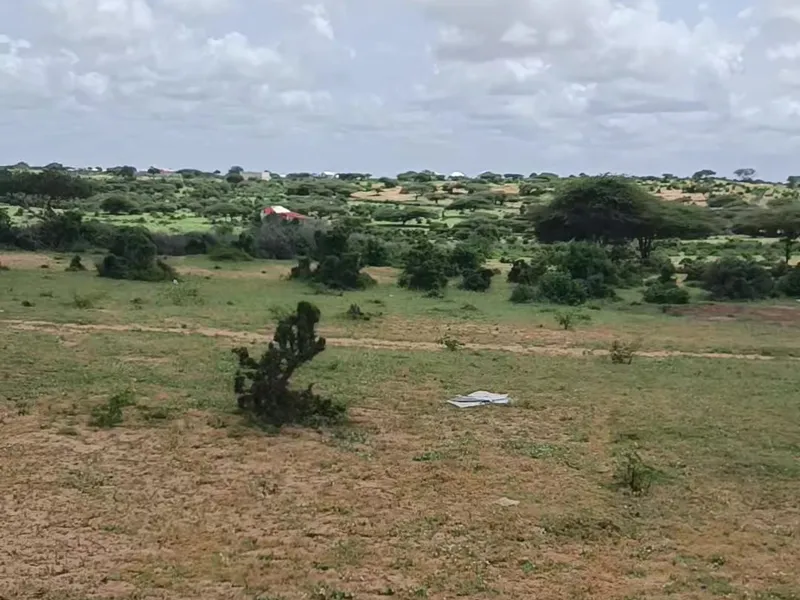 Land in Ceelasha Biyaha, hormuud dooralee — $2,500