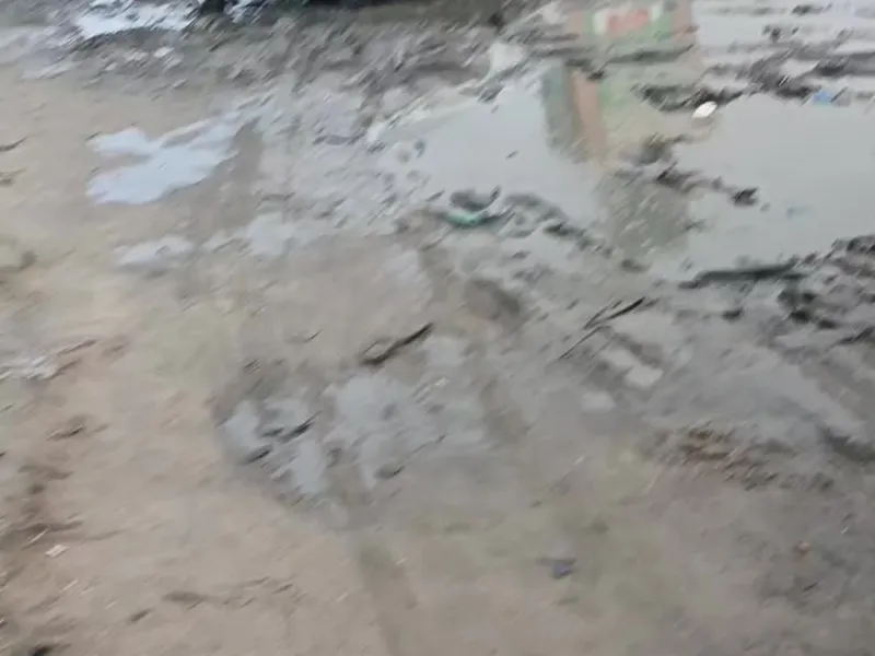 2 Bedroom House in Ceelasha Biyaha, xayi kaafi — $4,200