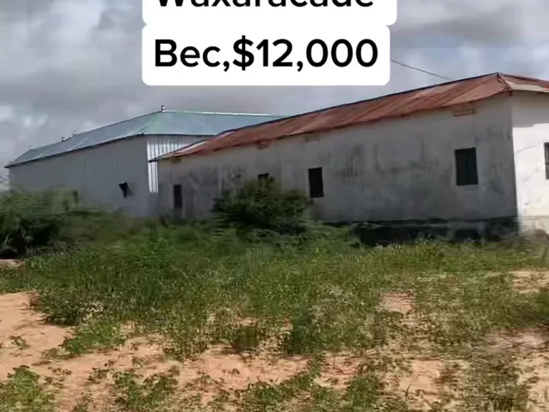 3 Bedroom House in Waxar Cadde, Mogadishu — $12,000