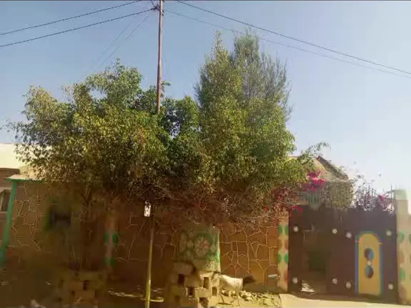 4 Bedroom Villa in Faarax Suusle, Burao — $130/mo