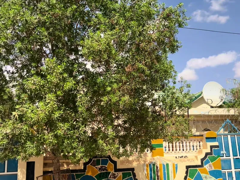 5 Bedroom Villa in Yaashfiin, Garoowe — $300/mo