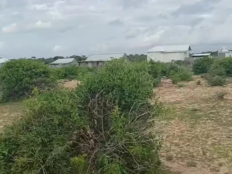Land in Ceelasha Biyaha, xfda shakir — $7,500