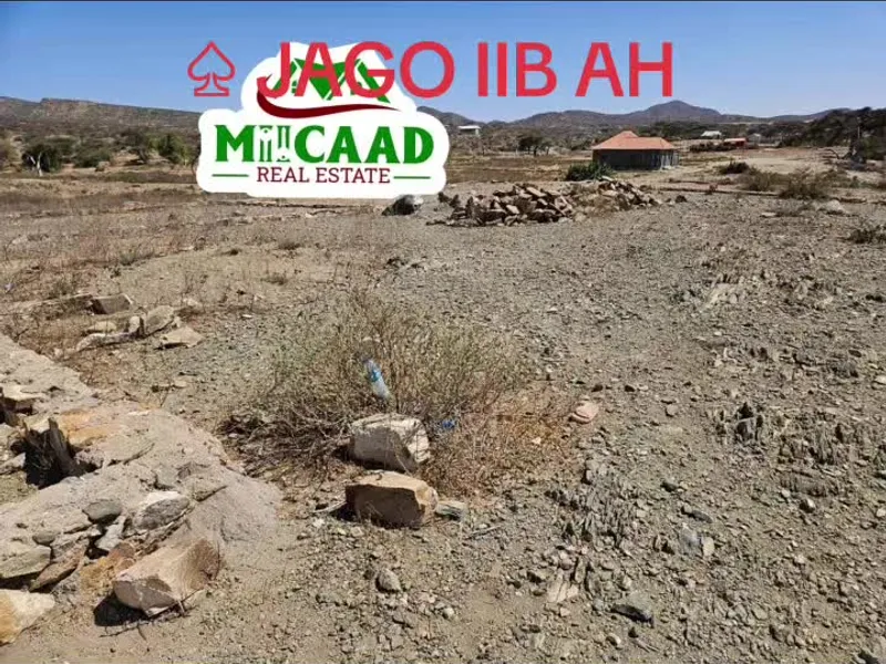 Land in Xaaji Manate, Borama — $8,000
