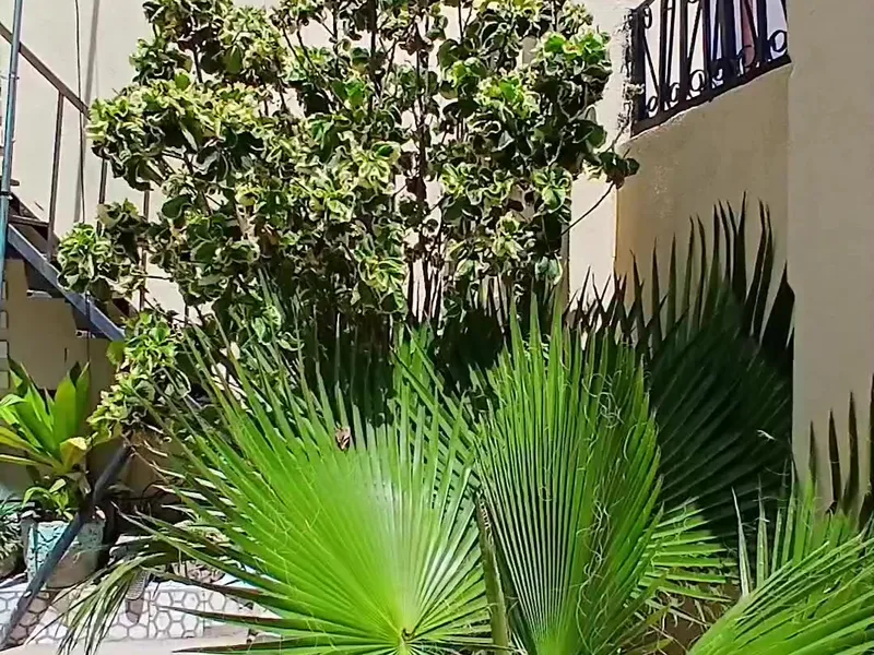5 Bedroom Villa in Tabliiqa, Hargeisa — $280/mo