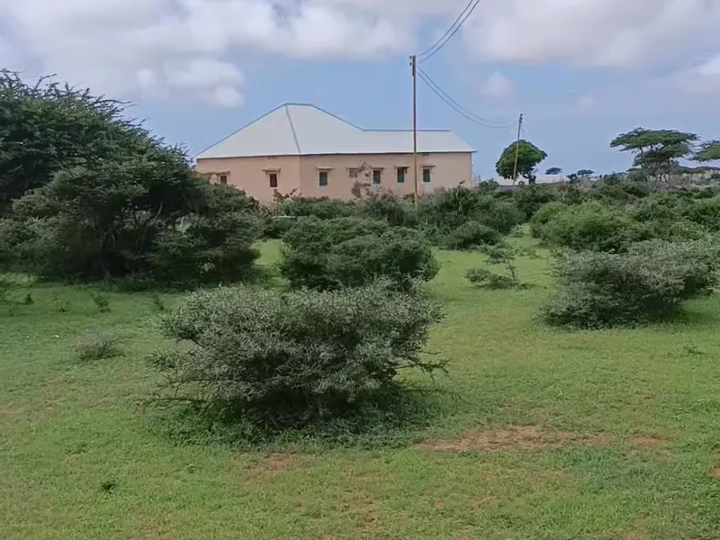 Land in taagane, ceelasha biyah — $3,200