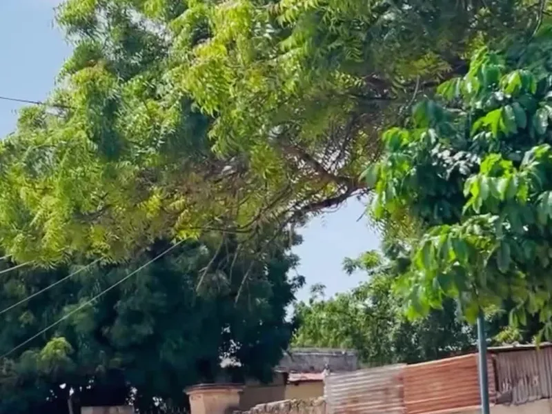 Land in Heliwaa, Mogadishu — $75,000