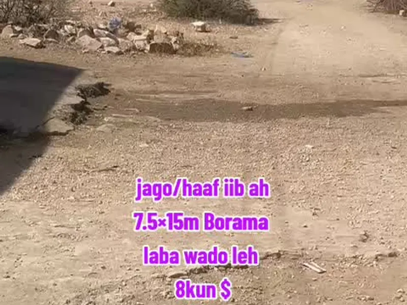 Land in Sheekh cismaan, Borama — $8,000