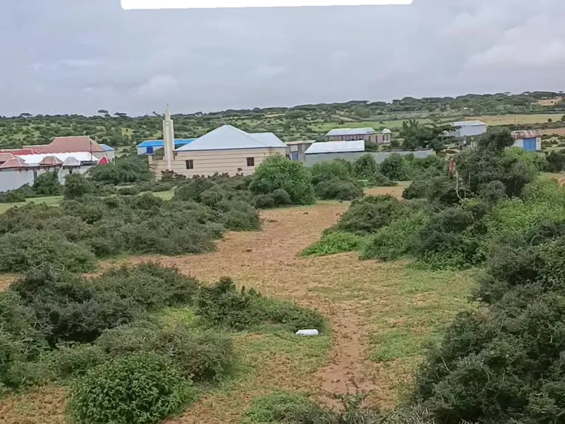 Land in taagane, ceelasha biyah — $2,500