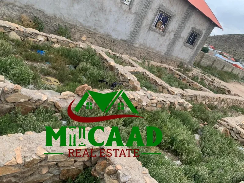 Land in Cali black, Borama — $12,000