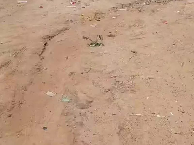 Land in Ceelasha Biyaha, ceelasha biyah — $25,000