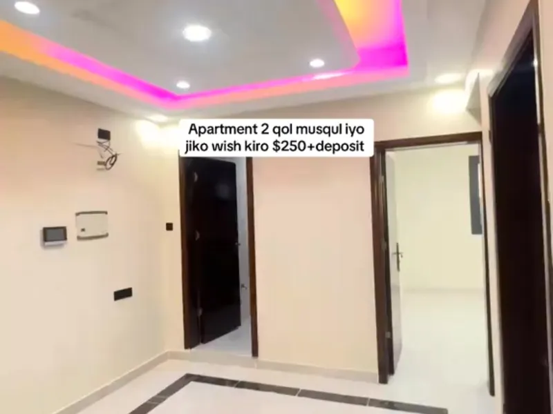 2 Bedroom Apartment in Black Sea, Mogadishu — $250/mo