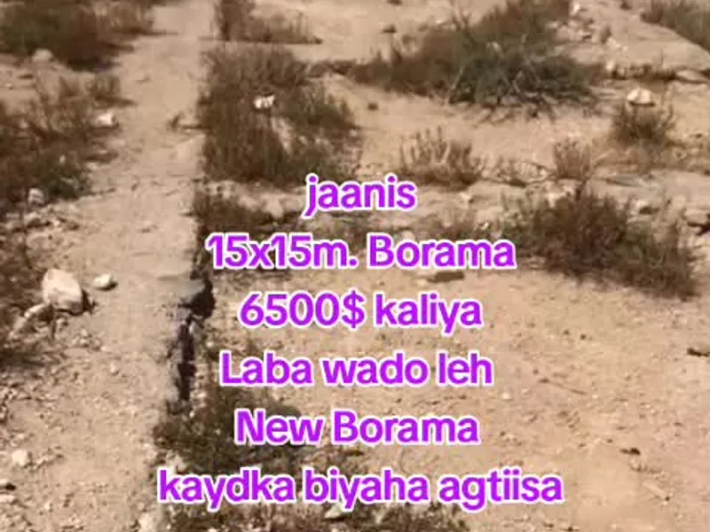 Land in New borama, Borama — $6,500