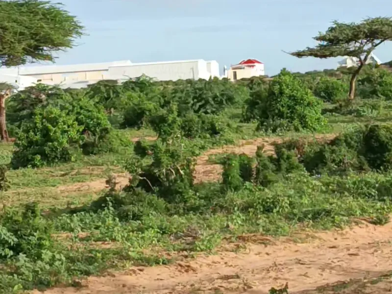 Land in Ceelasha Biyaha, shakir celasha — $2,500