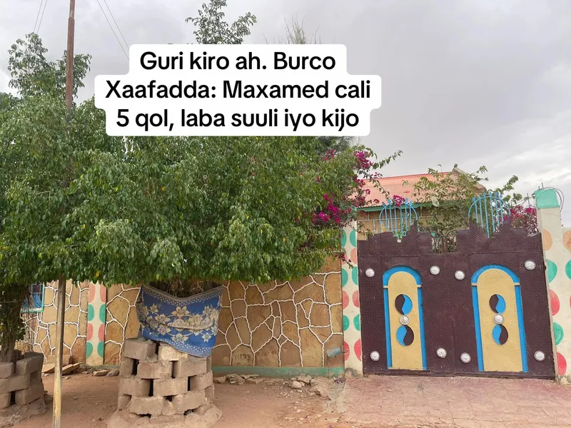 5 Bedroom Villa in Maxamed Cali, Burao — $150/mo