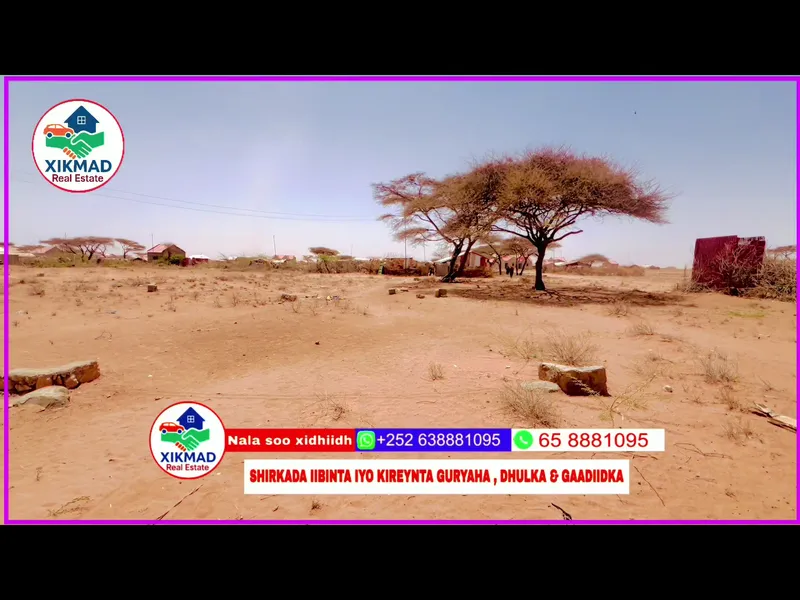 Land in Xaafada Dr Muuse, Burao — $2,500